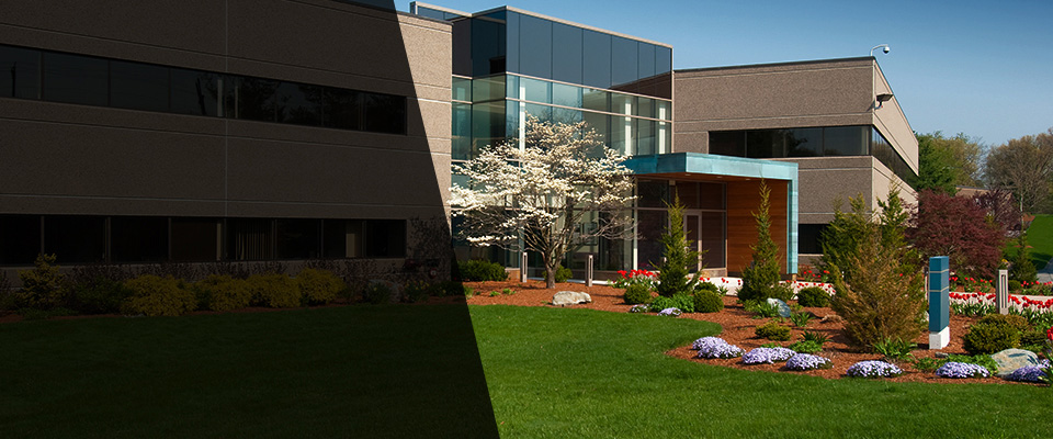 Rio Grande City Landscapers