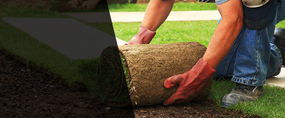 Rio Grande City Landscapers